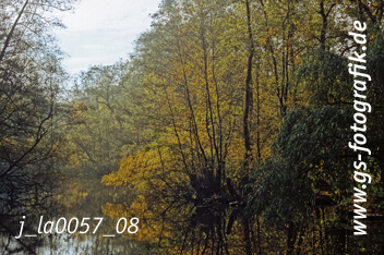 Bild in den Warenkorb legen