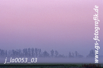 Bild in den Warenkorb legen Bild in den Warenkorb legen