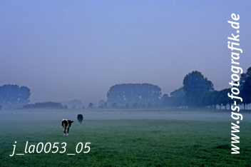 Bild in den Warenkorb legen Bild in den Warenkorb legen