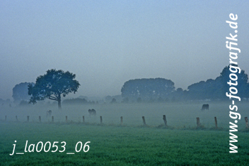 Bild in den Warenkorb legen Bild in den Warenkorb legen