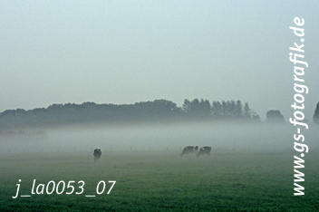 Bild in den Warenkorb legen Bild in den Warenkorb legen