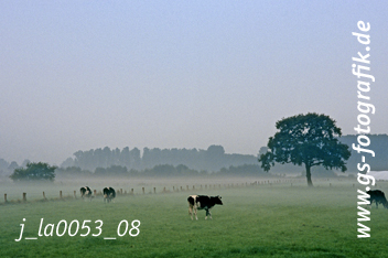 Bild in den Warenkorb legen Bild in den Warenkorb legen