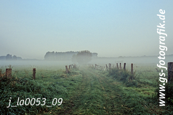 Bild in den Warenkorb legen Bild in den Warenkorb legen