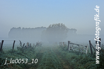 Bild in den Warenkorb legen Bild in den Warenkorb legen