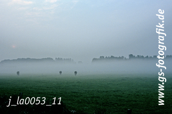 Bild in den Warenkorb legen Bild in den Warenkorb legen