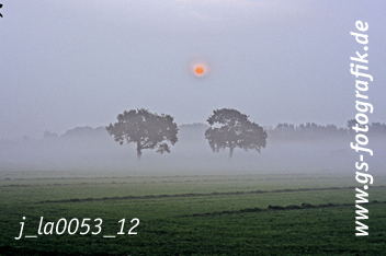 Bild in den Warenkorb legen Bild in den Warenkorb legen