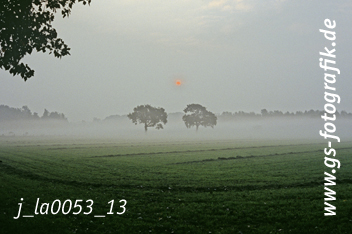 Bild in den Warenkorb legen Bild in den Warenkorb legen