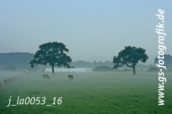 Bild in den Warenkorb legen Bild in den Warenkorb legen