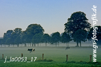 Bild in den Warenkorb legen Bild in den Warenkorb legen