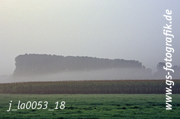 Bild in den Warenkorb legen Bild in den Warenkorb legen