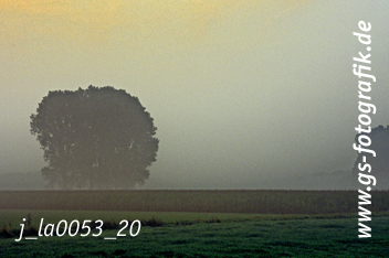 Bild in den Warenkorb legen Bild in den Warenkorb legen