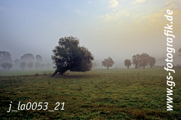 Bild in den Warenkorb legen Bild in den Warenkorb legen