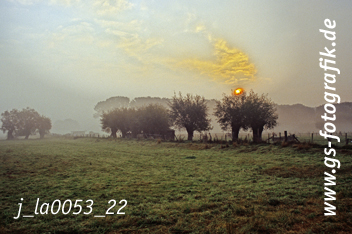 Bild in den Warenkorb legen Bild in den Warenkorb legen