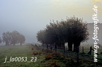 Bild in den Warenkorb legen Bild in den Warenkorb legen