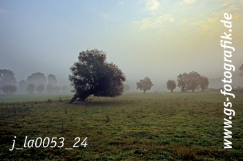 Bild in den Warenkorb legen Bild in den Warenkorb legen