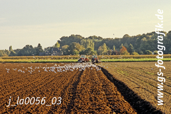 Bild in den Warenkorb legen