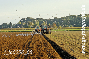 Bild in den Warenkorb legen