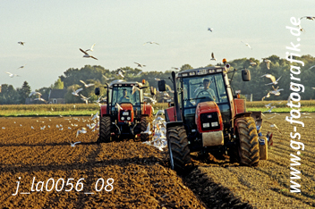 Bild in den Warenkorb legen