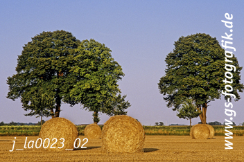 Bild in den Warenkorb click Bild in den Warenkorb click