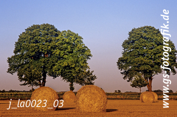 Bild in den Warenkorb click Bild in den Warenkorb click