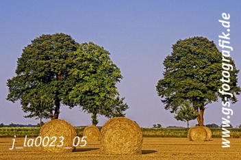 Bild in den Warenkorb click Bild in den Warenkorb click