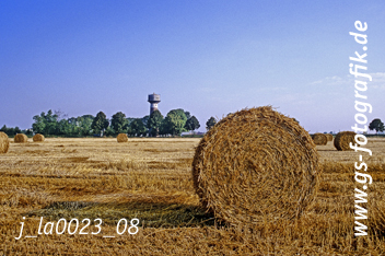 Bild in den Warenkorb click Bild in den Warenkorb click