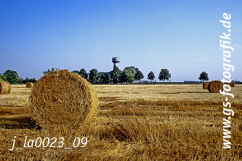 Bild in den Warenkorb click Bild in den Warenkorb click