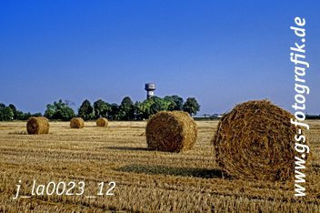 Bild in den Warenkorb click Bild in den Warenkorb click