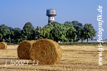 Bild in den Warenkorb click Bild in den Warenkorb click