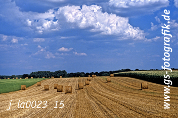 Bild in den Warenkorb click Bild in den Warenkorb click