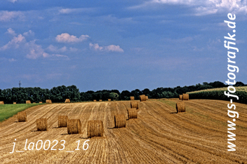 Bild in den Warenkorb click Bild in den Warenkorb click