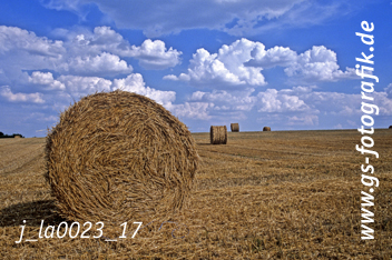 Bild in den Warenkorb click Bild in den Warenkorb click