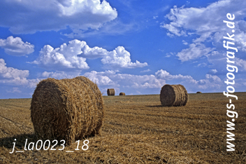 Bild in den Warenkorb click Bild in den Warenkorb click