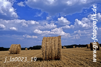 Bild in den Warenkorb click Bild in den Warenkorb click