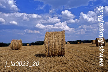 Bild in den Warenkorb click Bild in den Warenkorb click