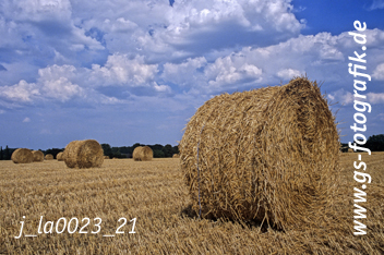 Bild in den Warenkorb click Bild in den Warenkorb click