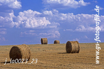 Bild in den Warenkorb click Bild in den Warenkorb click