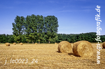 Bild in den Warenkorb click Bild in den Warenkorb click