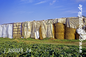 Bild in den Warenkorb click Bild in den Warenkorb click