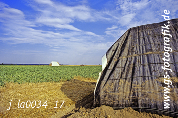 Bild in den Warenkorb click Bild in den Warenkorb click