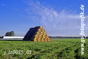 Bild in den Warenkorb click Bild in den Warenkorb click