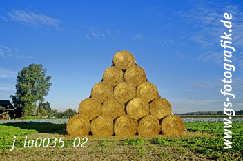 Bild in den Warenkorb click Bild in den Warenkorb click