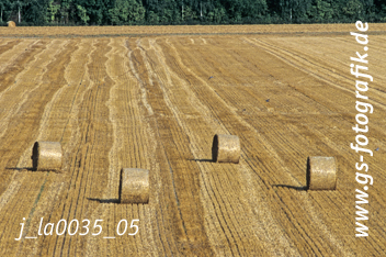 Bild in den Warenkorb click Bild in den Warenkorb click