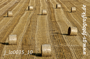 Bild in den Warenkorb click Bild in den Warenkorb click