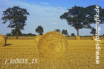 Bild in den Warenkorb click Bild in den Warenkorb click