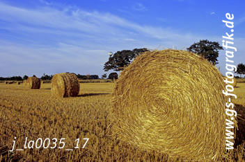 Bild in den Warenkorb click Bild in den Warenkorb click