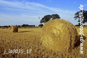 Bild in den Warenkorb click Bild in den Warenkorb click