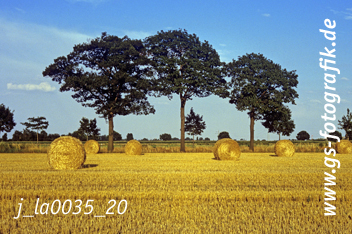 Bild in den Warenkorb click Bild in den Warenkorb click