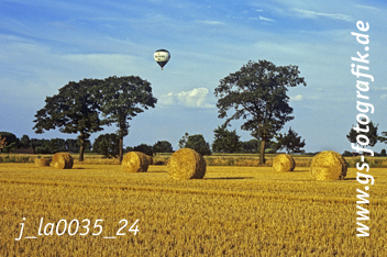 Bild in den Warenkorb click Bild in den Warenkorb click