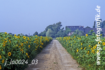 Bild in den Warenkorb click Bild in den Warenkorb click